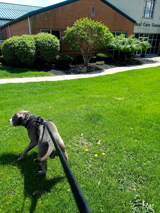 Animal Care Center of Forest Park Picture 3