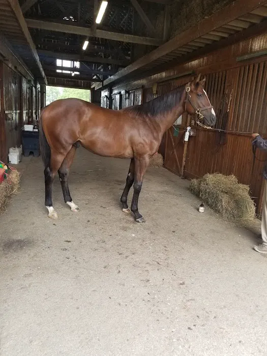 Gunston Hall Farm Picture 1