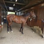 Gunston Hall Farm