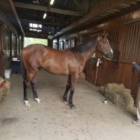 Gunston Hall Farm ico