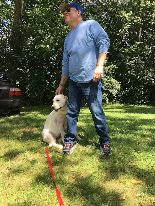 Dr D's For Dogs Picture 2