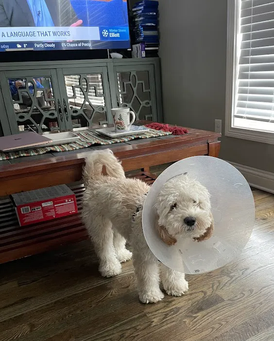 Commonwealth Veterinary Clinic Picture 3
