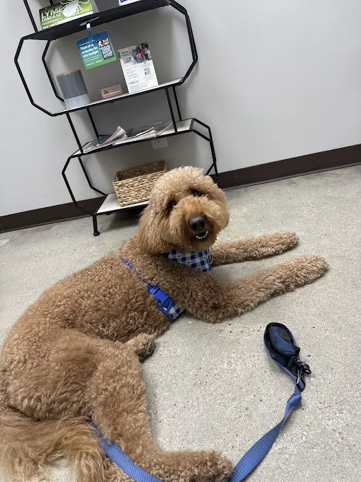Commonwealth Veterinary Clinic Picture 8
