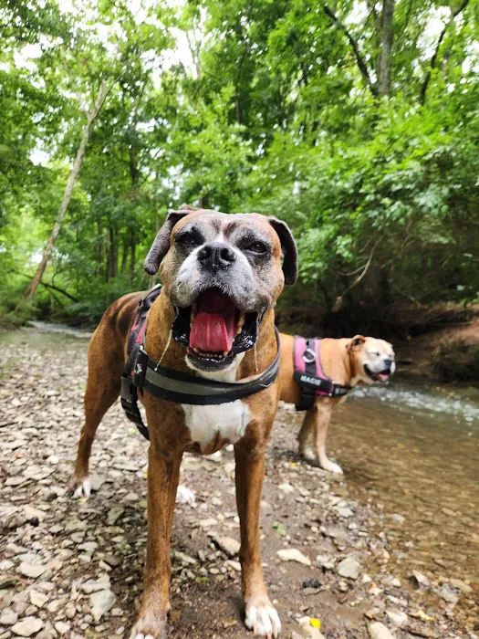 The Pet Wellness Group: Florence Picture 7
