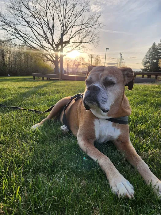 The Pet Wellness Group: Florence Picture 8