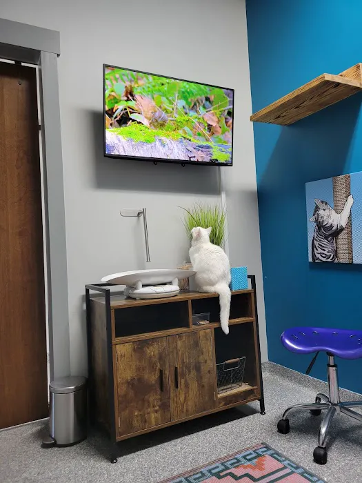 PetVet365 Pet Hospital Florence Picture 9