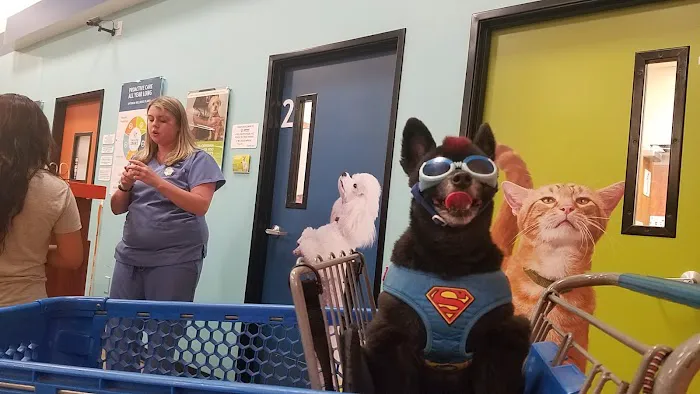 Banfield Pet Hospital Picture 2