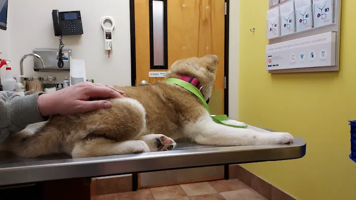 Banfield Pet Hospital Picture 5
