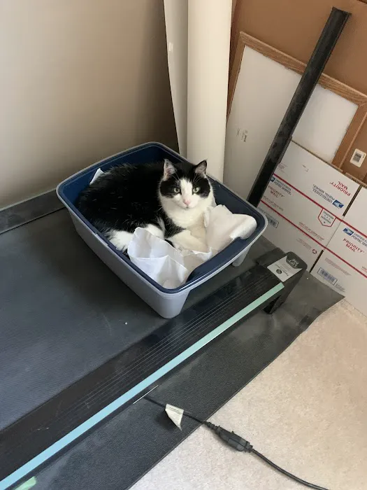 Banfield Pet Hospital Picture 7