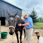 Dr. Prather’s Farm Animal Veterinary Services