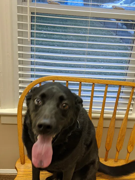 Brinker Animal Hospital Picture 6