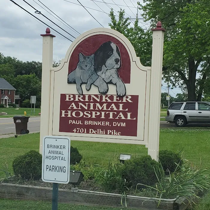 Brinker Animal Hospital Picture 7