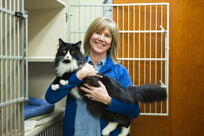 Brighton Animal Clinic Picture 2