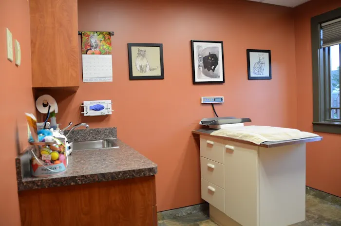 Brighton Animal Clinic Picture 10