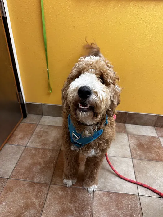 Banfield Pet Hospital Picture 5