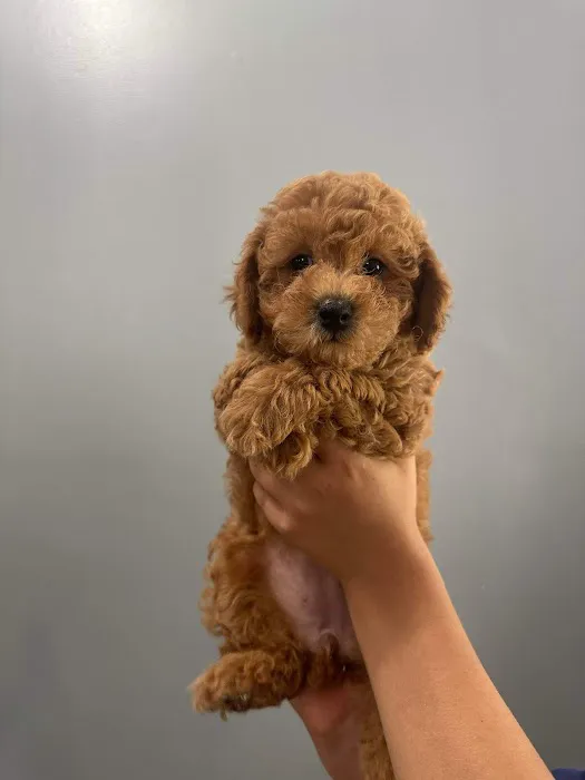 Banfield Pet Hospital Picture 4
