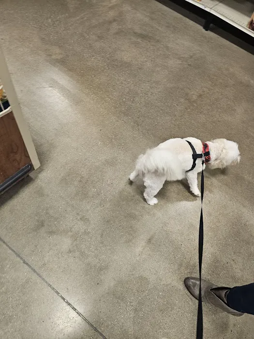 Banfield Pet Hospital Picture 8