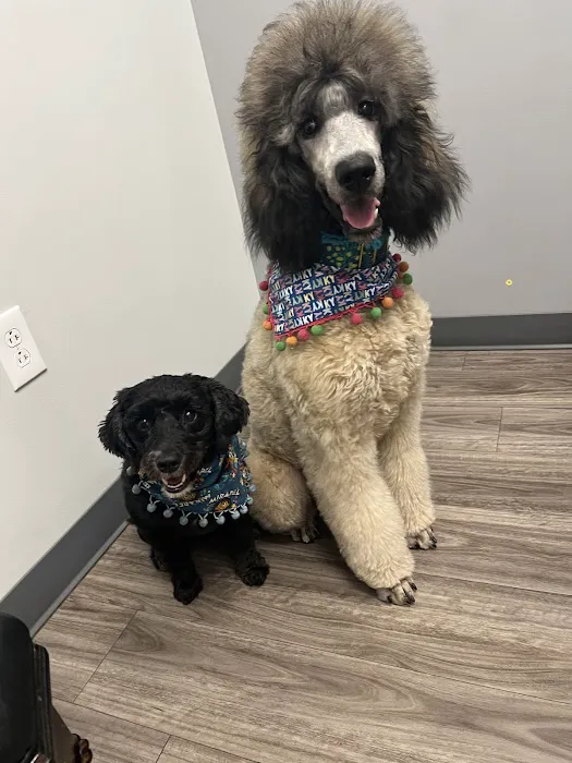 Lexington Animal Clinic Picture 2