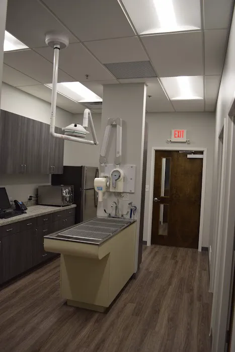 Lexington Animal Clinic Picture 8