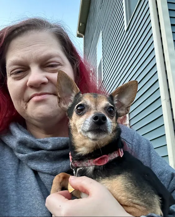 Best Pets Animal Clinic Picture 5