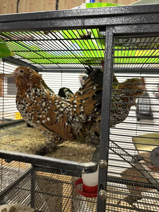 Best Pets Animal Clinic Picture 9