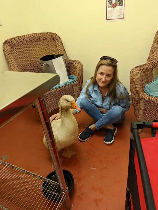 Best Pets Animal Clinic Picture 7
