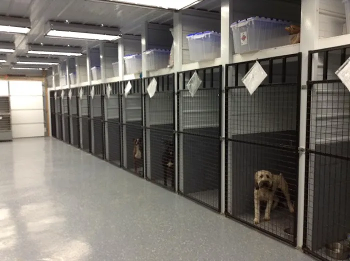 Scott County Veterinary Clinic Picture 4