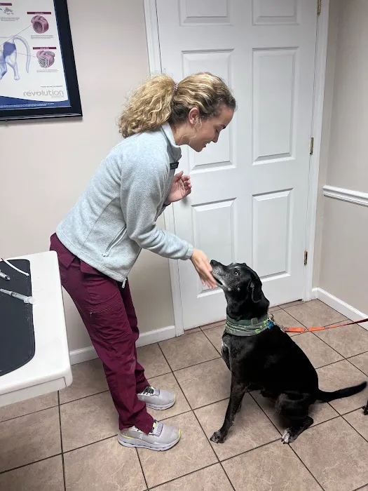 Scott County Veterinary Clinic Picture 9