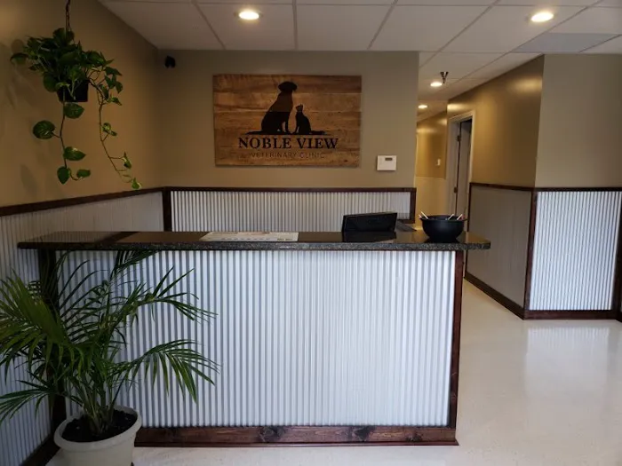 Noble View Veterinary Clinic Picture 4