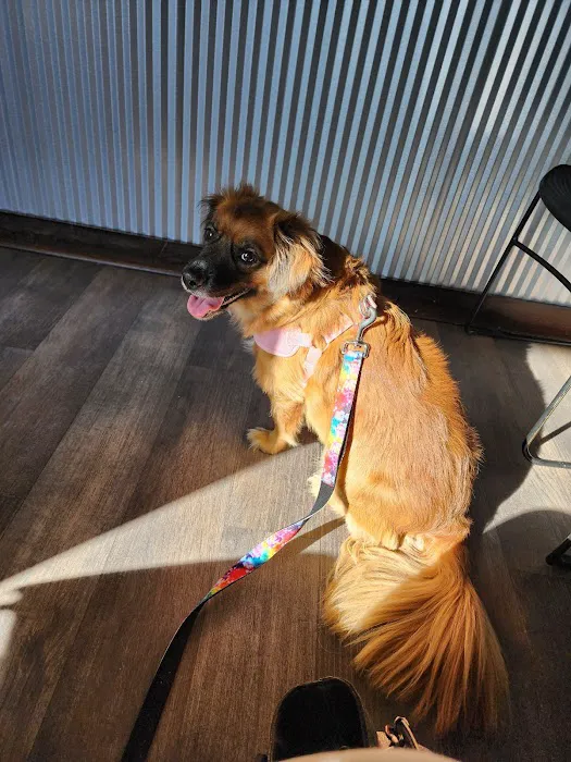 Noble View Veterinary Clinic Picture 10