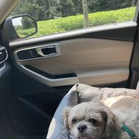 Central Kentucky Veterinary Center ico