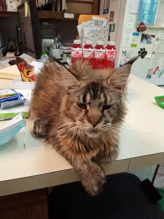 Animal Clinic of Estill County, PLLC Picture 4