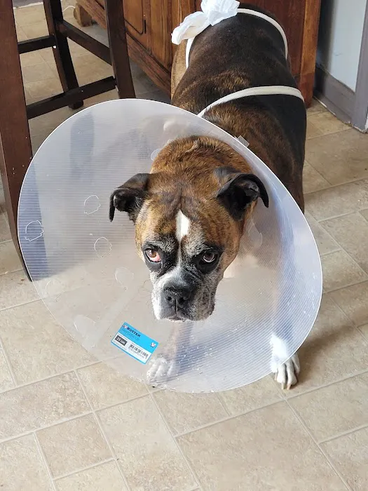 Waco Animal Hospital Picture 5