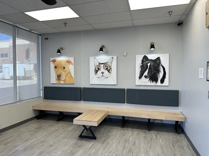 Blue Paw Primary Pet Care Picture 6