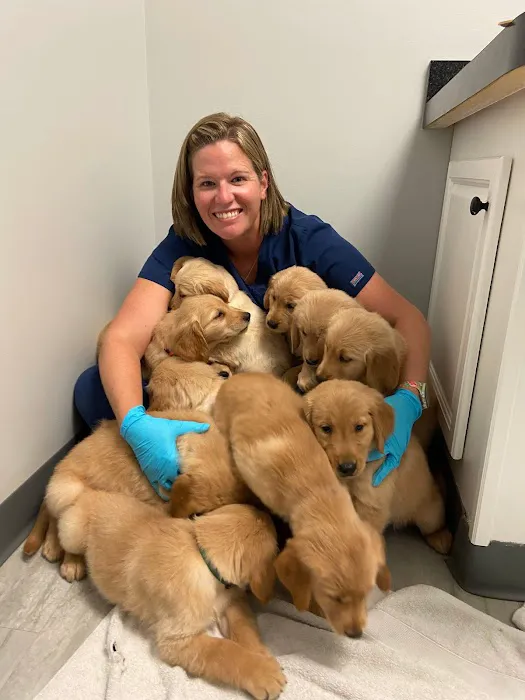 Blue Paw Primary Pet Care Picture 7