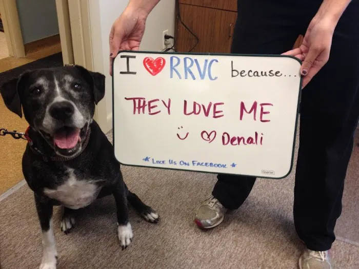 Richmond Road Veterinary Clinic Picture 4