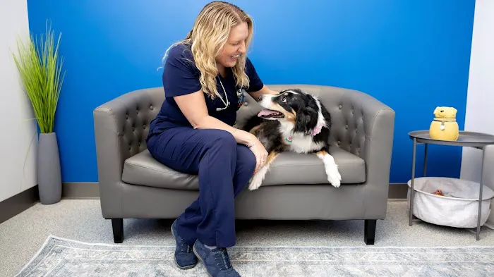 PetVet365 Pet Hospital Lexington/Richmond Rd Picture 3