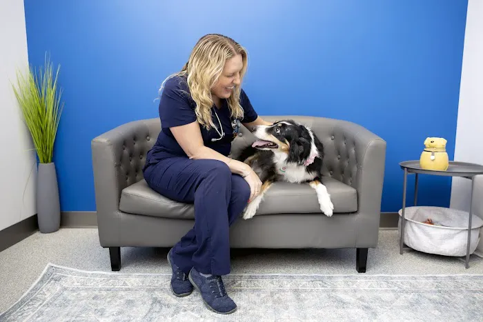 PetVet365 Pet Hospital Lexington/Richmond Rd Picture 5