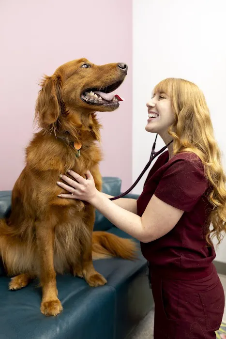 PetVet365 Pet Hospital Lexington/Richmond Rd Picture 8