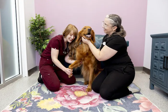 PetVet365 Pet Hospital Lexington/Richmond Rd Picture 6