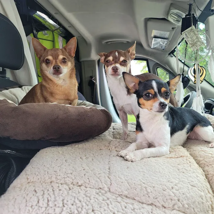 Bluegrass Veterinary Specialists + Animal Emergency Picture 1