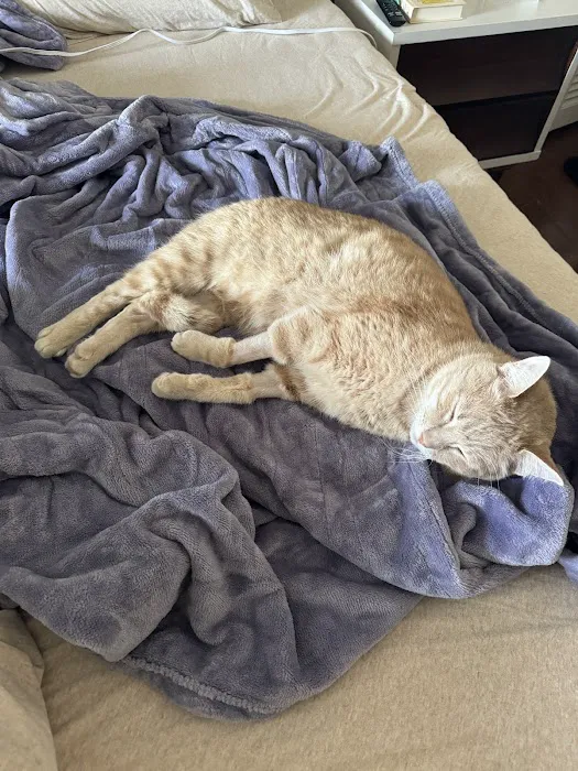 Bluegrass Veterinary Specialists + Animal Emergency Picture 4