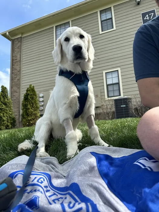 Bluegrass Veterinary Specialists + Animal Emergency Picture 8