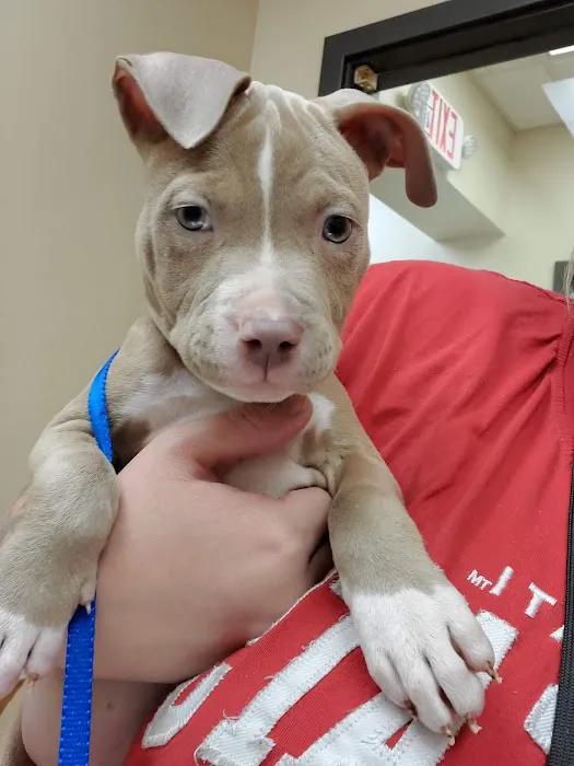 Covedale Pet Hospital Picture 1