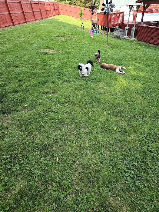 Covedale Pet Hospital Picture 10