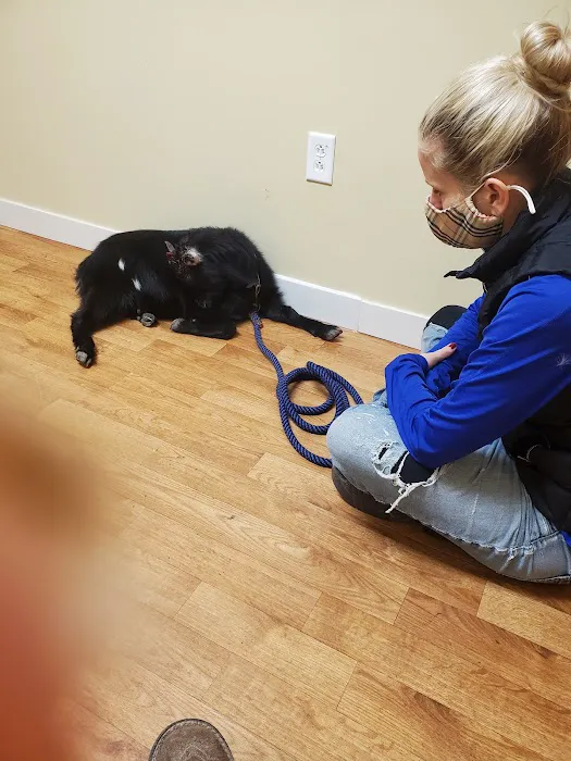 Prices Creek Veterinary Service Picture 7