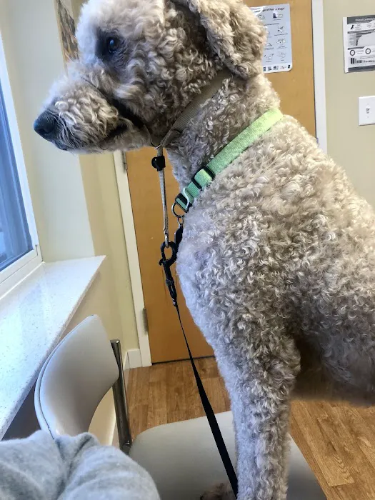 Prices Creek Veterinary Service Picture 10
