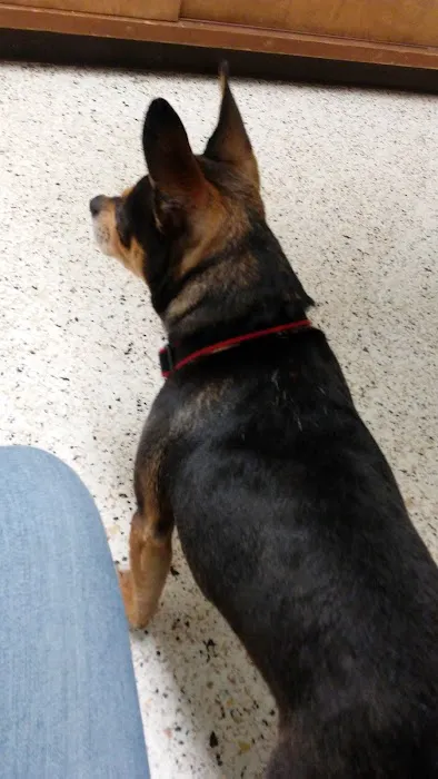 Maria Stein Animal Clinic, Inc. Picture 1