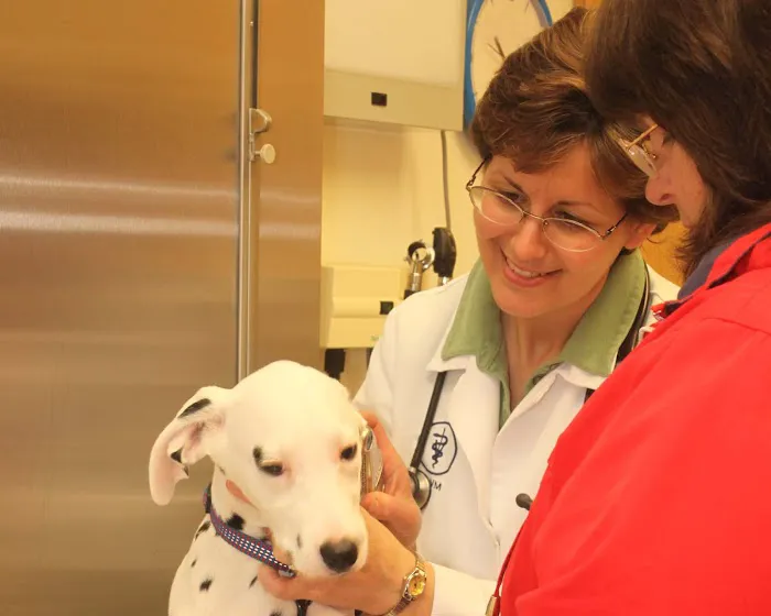 Hartzell Veterinary Service: Charles W. Hartzell, DVM and Sue Ann Hartzell, DVM Picture 4