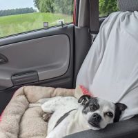 Darke County Veterinary Services ico